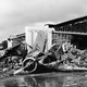 Destroyed American aircraft at Wheeler Army Airfield
